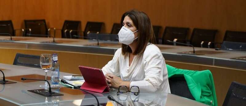 Carmen Hernández, diputada regional de NC y vicealcaldesa de Telde, ayer en el Ministerio de Educación/TA.